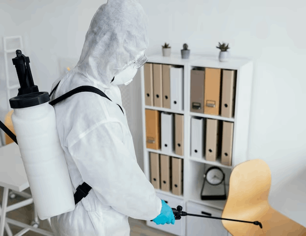Tips for Monitoring and Detecting Bed Bugs with Indoor Glue Traps