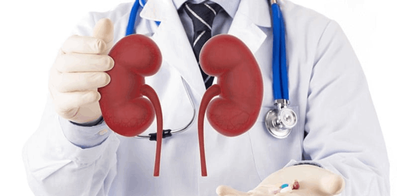 Kidney Health: Conditions Treated by Top Nephrologists