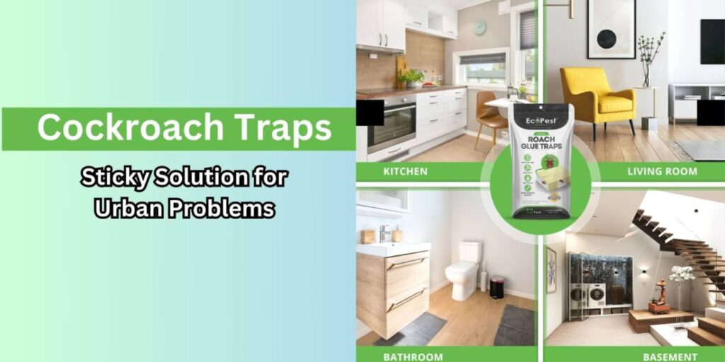 Cockroach Traps: The Sticky Solution for Urban Problems